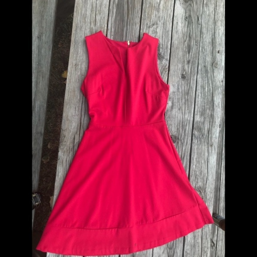 The Limited pink dress